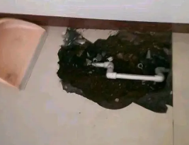 来宾市卫生间测漏水多少钱
